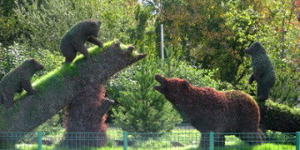 foto3.jpg