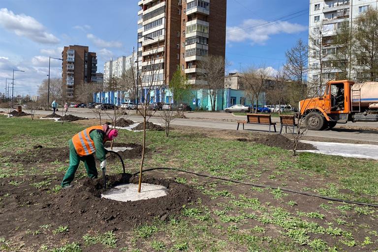 озеленение_0523 (8).jpg