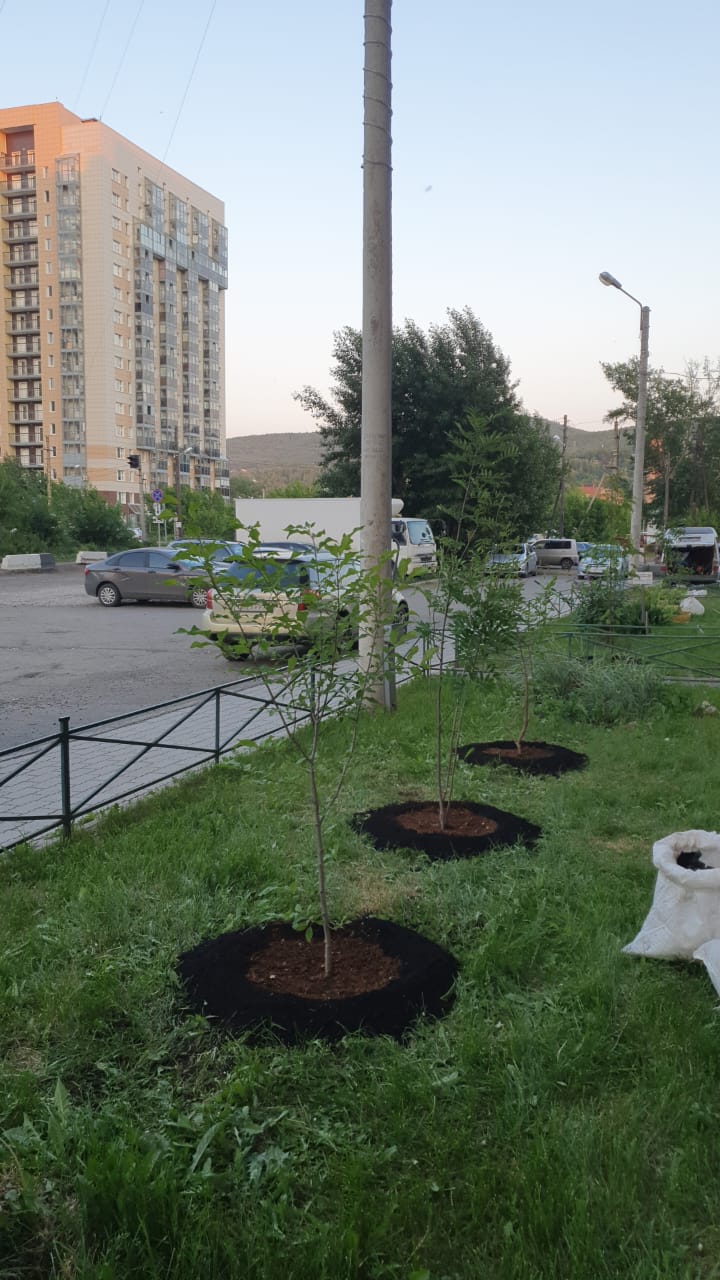 WhatsApp Image 2023-06-16 at 21.07.59.jpeg