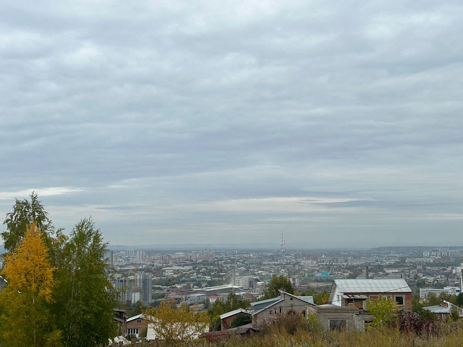 WhatsApp Image 2023-09-26 at 15.51.14.jpeg