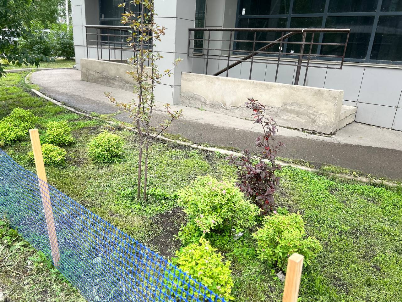 озеленение просто.jpg