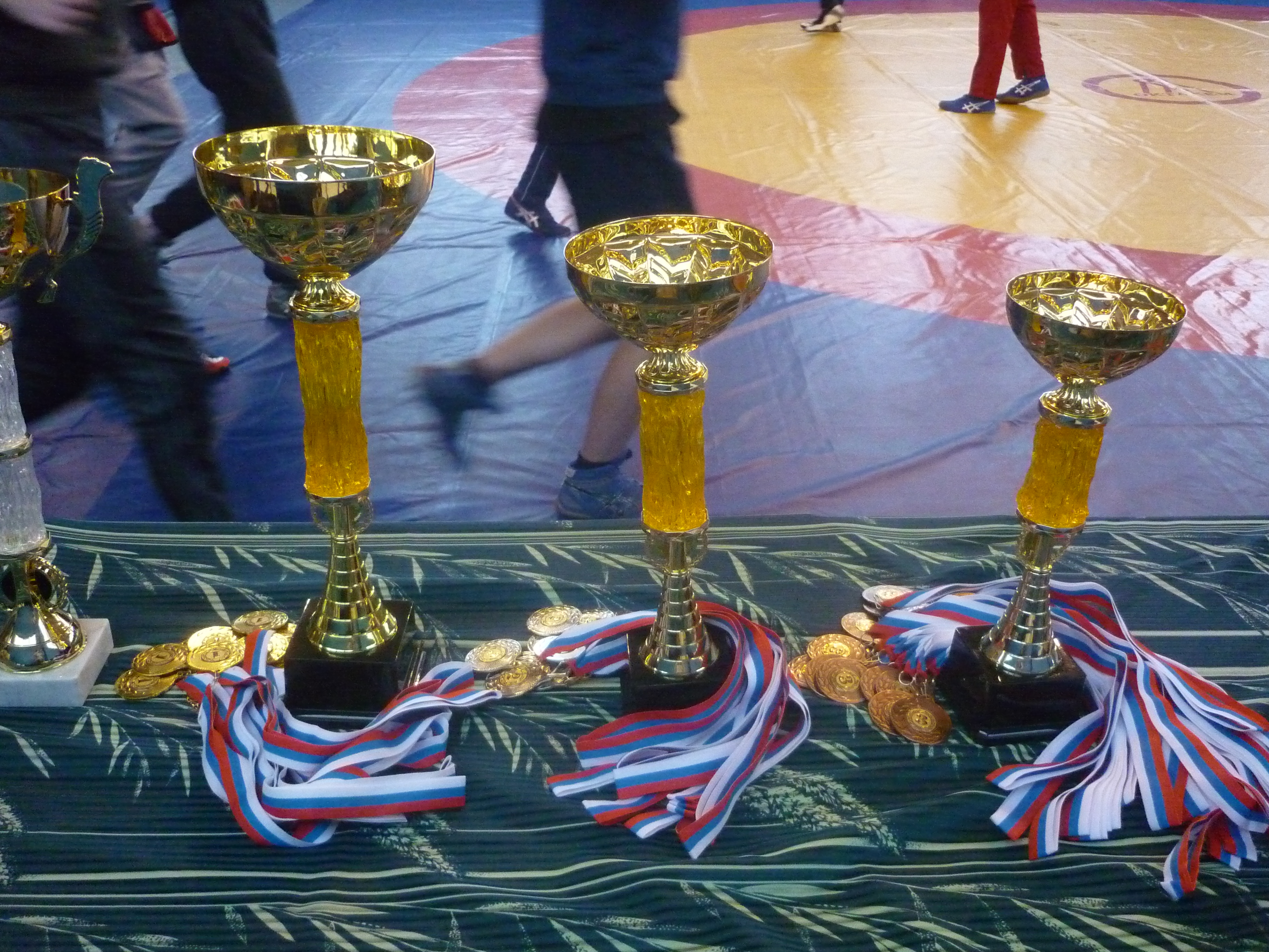 P1050007.JPG