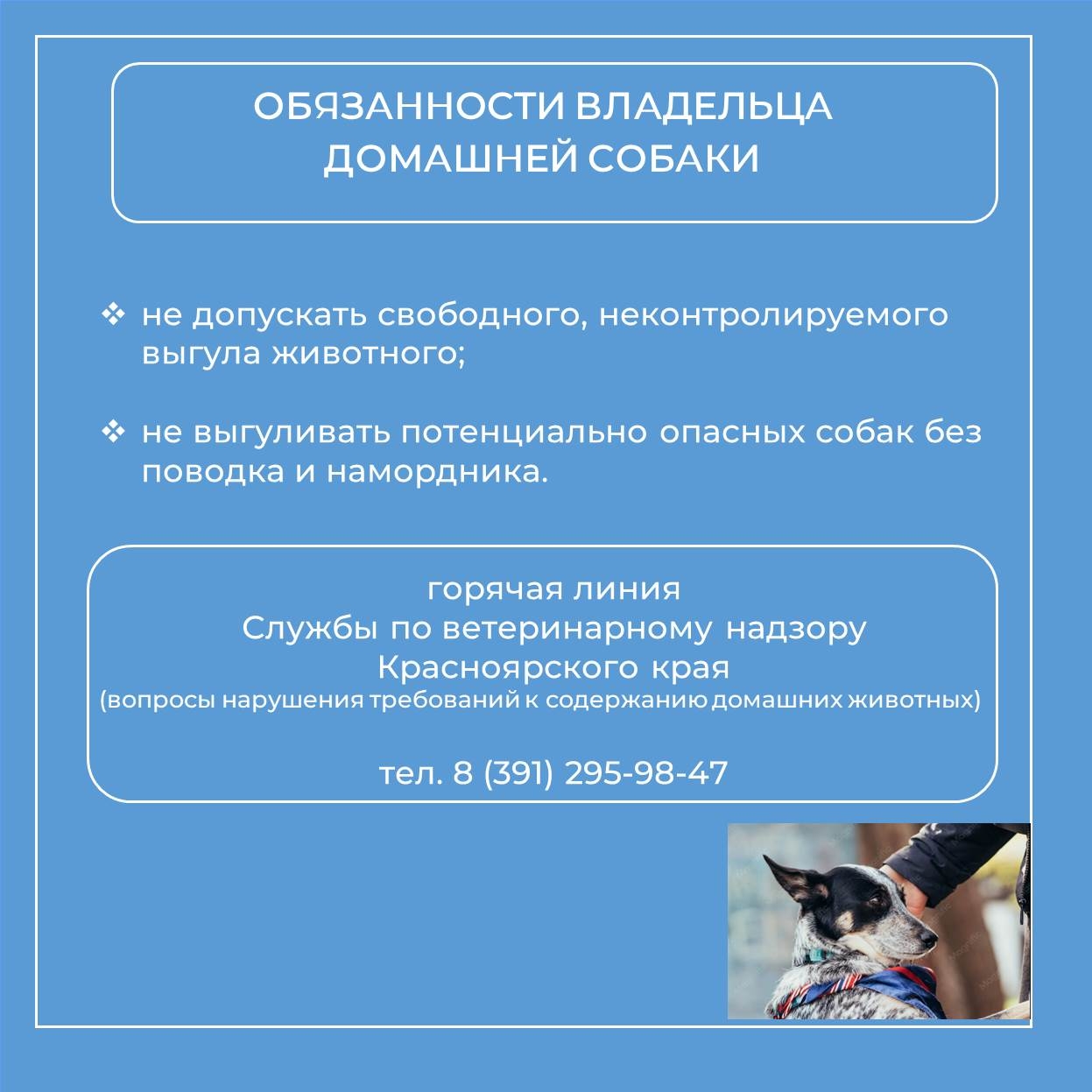 9i8Q4PNweFZeOMAxwpje70aN-PYlCS0MpwRo39l32N3ytC06gL8GIFVHKaxu-HL8qM0a614XWWrdHWoMEVSmqtD9.jpg
