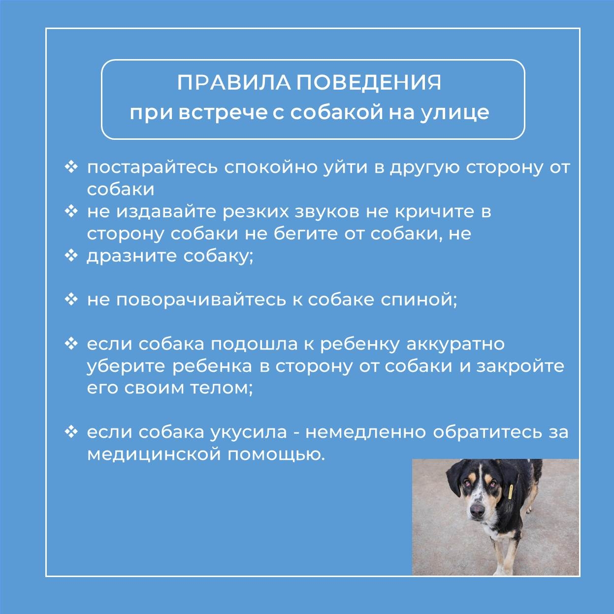 FU6srizynlzGPykUi31MHAAfOYJhKTySBk1YeFlnx98PGic3OlixHrWRoDfSyKeR9Lfmr-TN-fbVnGakv1njk_Sk.jpg