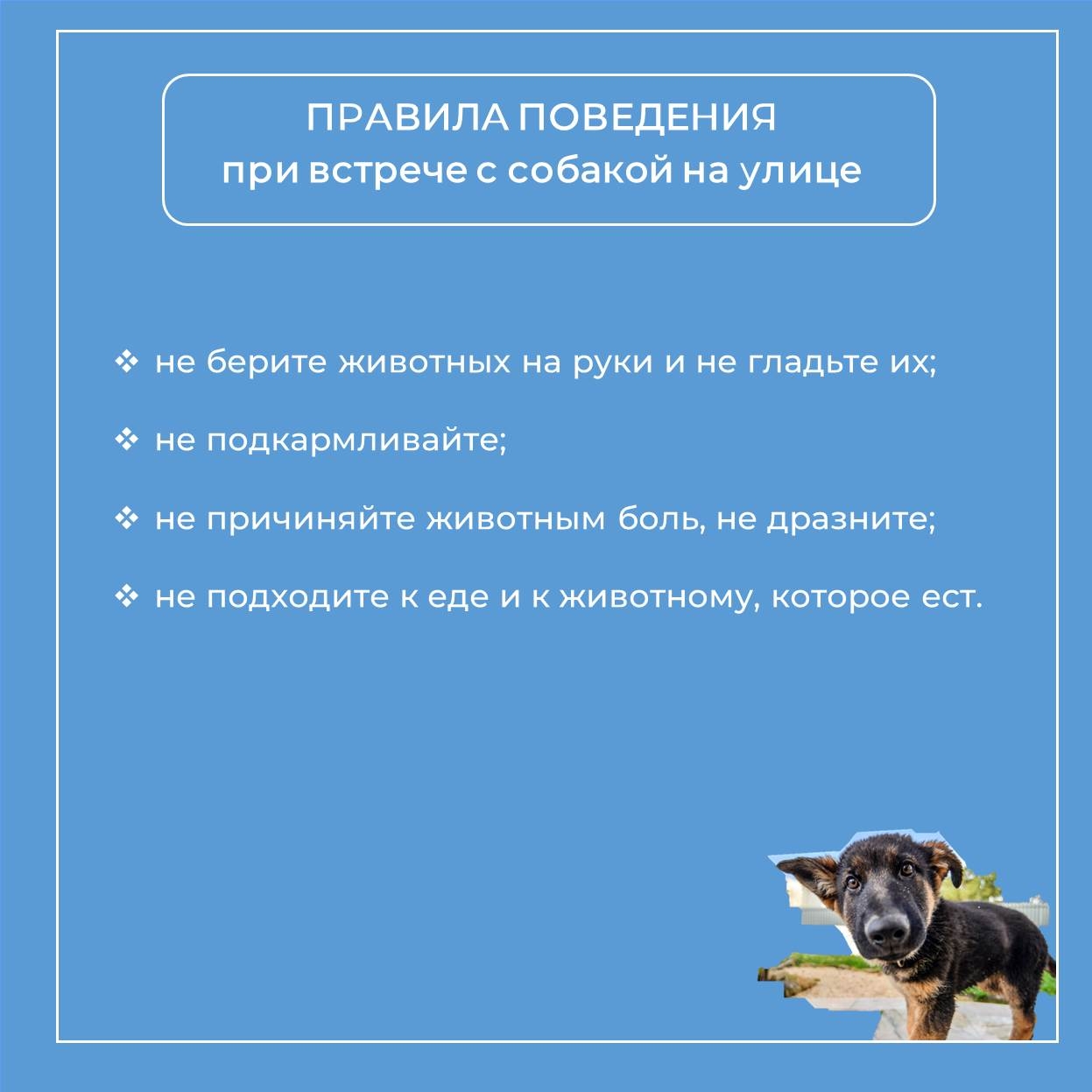 Y4NsOH-vgux3RF9BaYfJR0MIAa7RXQq86PuLMn01eWasCpGO_UXp3Q-6DUh4oDxk1wLHua7558kBq7lH5qSYzyD6N1l5og.jpg