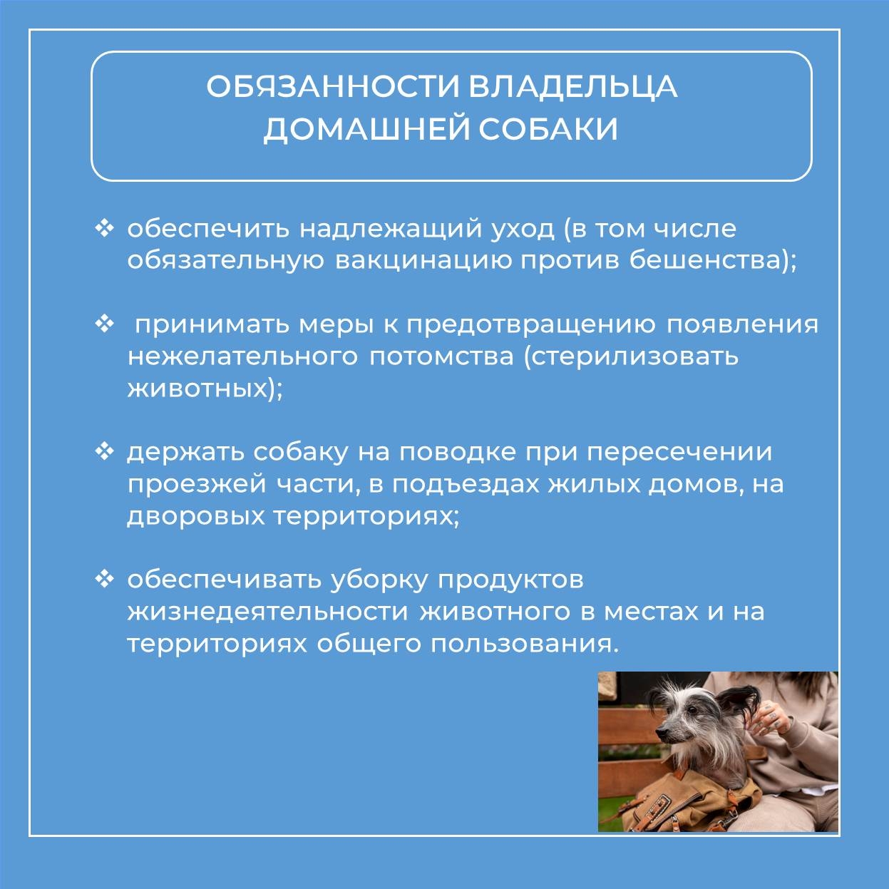 inp0QKCe1T6t3rn8D_Dq_TvbG8t4YQiV1q2w3z5JH9Hmq1QTBGq4fj03zTje3gLd8ZziIqj1UEix8e95aZN0tcbk.jpg