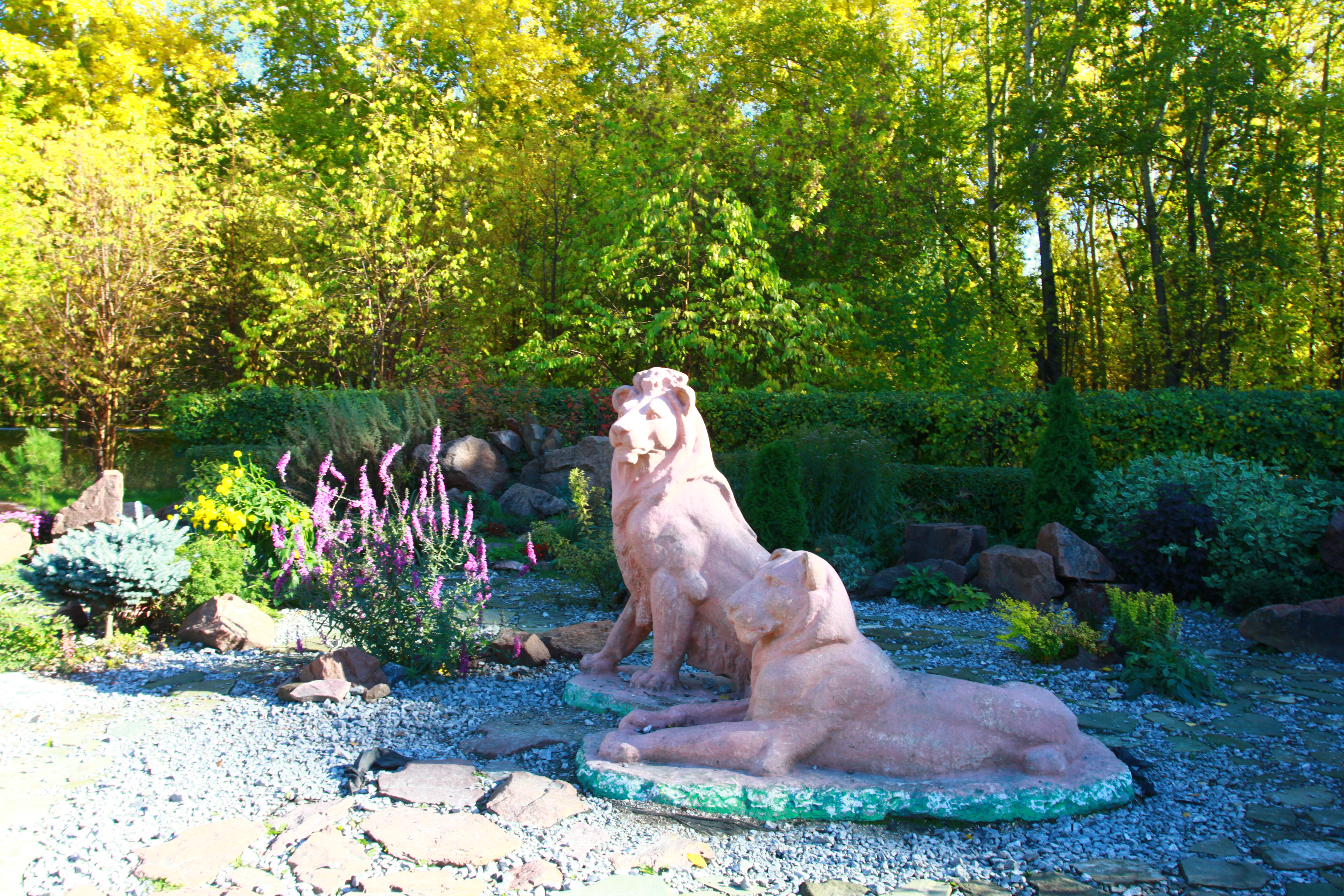 Парк Троя лев с львицей.JPG