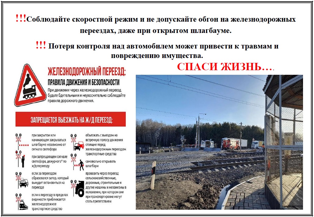 жд2.jpg