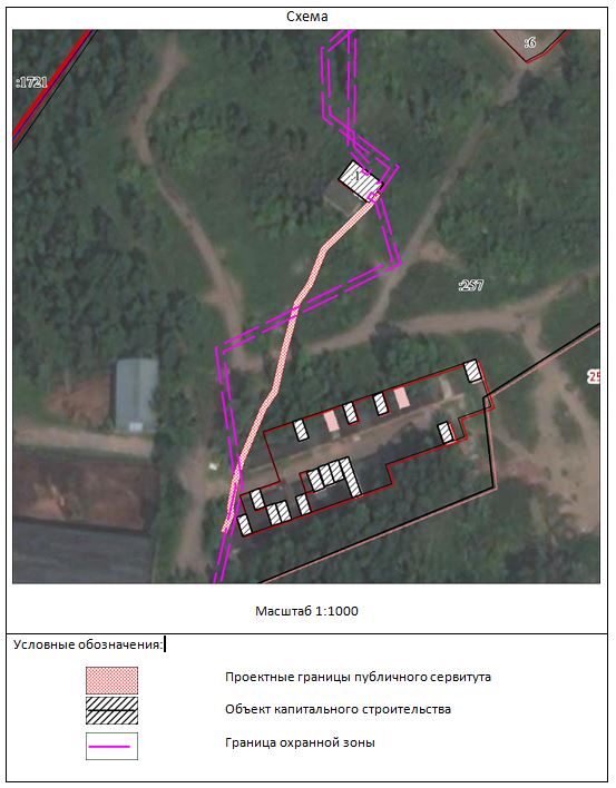 Снимок 13476.JPG