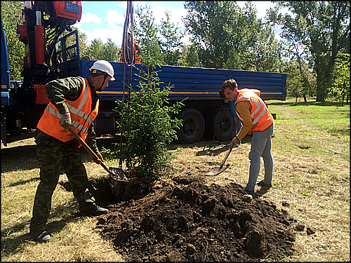 Пойтахт бетон. Мп узс красноярск. Мп узс. Мп узс. Блок защиты светодиодных ламп 220в.